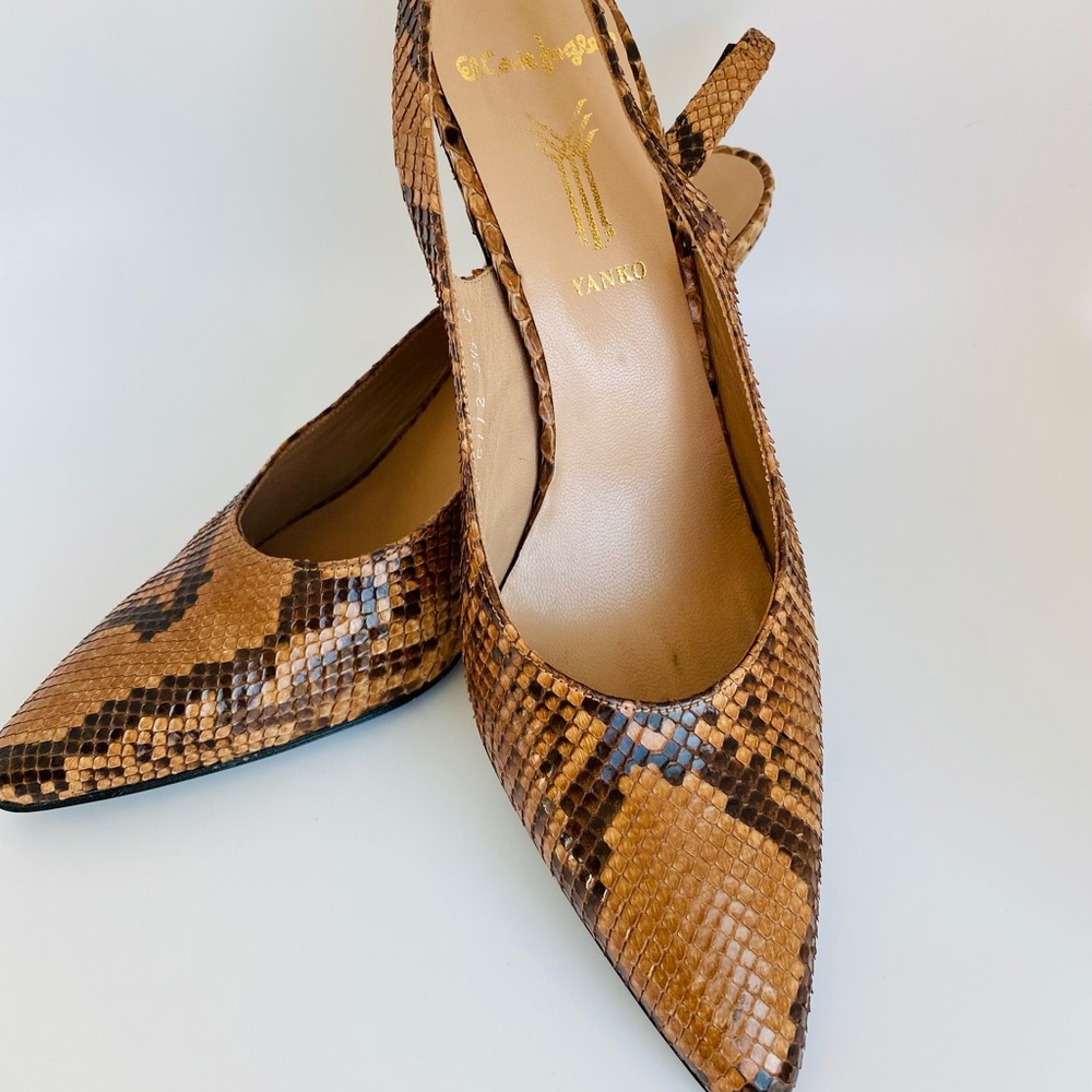 Authentic Snake Skin